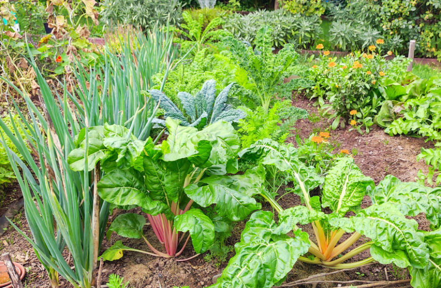 Gartenfachberater/in im KLeingärtnerverein Heimatblick Possendorf gesucht