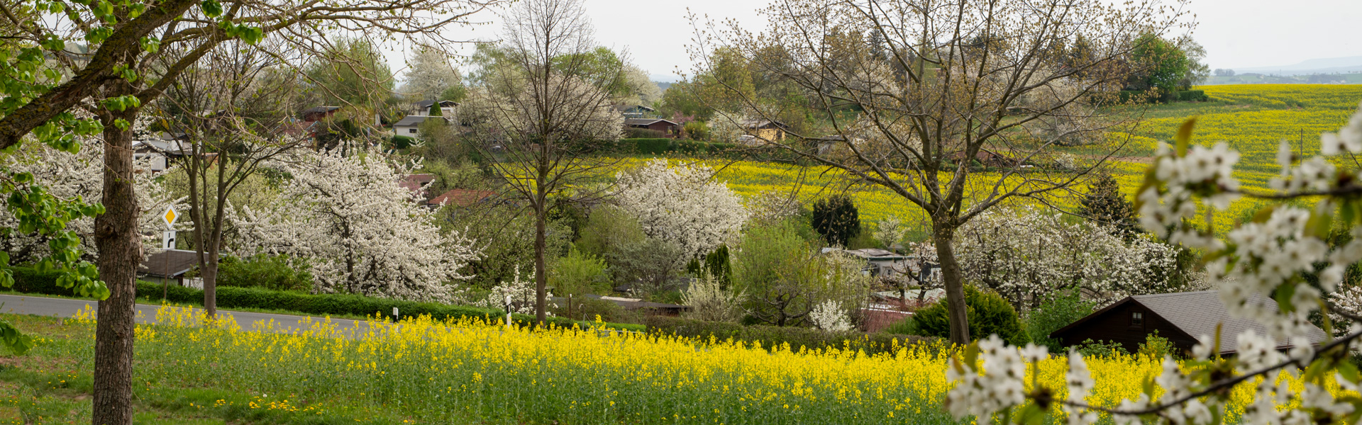 Kleingartenverein KGV Heimatblick Possendorf