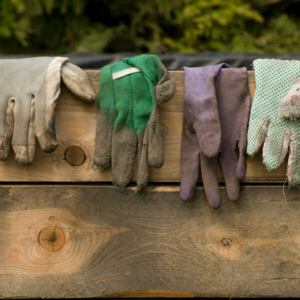 Über Gartenzaun hängende Gartenhandschuhe