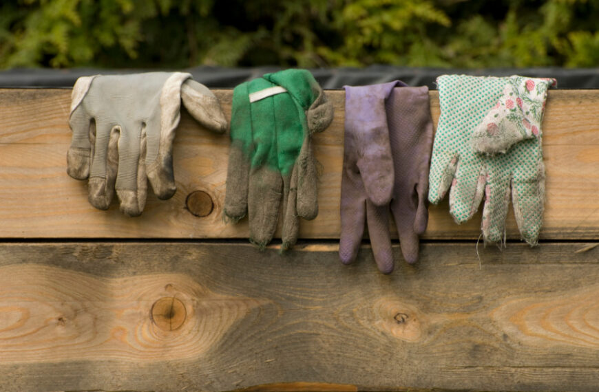 Über Gartenzaun hängende Gartenhandschuhe